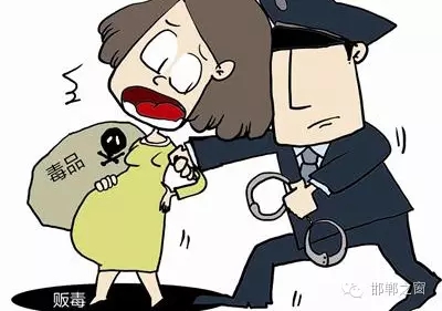 2016年初，涉縣警方查獲一起涉毒案件，鑒于該案涉案人員多、毒品交易量大，涉縣警方立即將案情上報(bào)，被公安部確立為“目標(biāo)-2016-314”號(hào)毒品案件。涉縣警方成立專案組，經(jīng)過多方追查，先后抓獲團(tuán)伙人員13名，繳獲毒品5349克，并查明上線“濮姐”的真實(shí)身份為陳某。